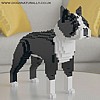 Boston Terrier Jekca (Black & White)